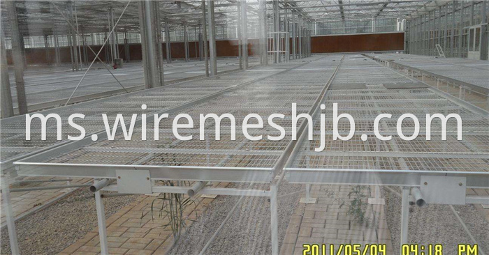 Seedling Bed Mesh